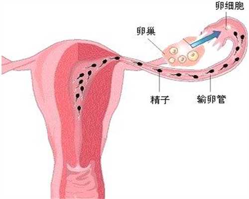 北京代孕公司 医院_孕期适当运动有什么好处 孕期运动要注意什么