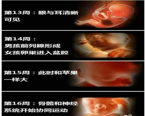 北京2020代孕价格表_孕妇皮肤痒是糖尿病吗