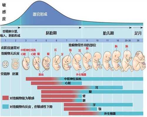 北京代孕该怎么做准备_孕妇蹲厕会压到胎儿吗？