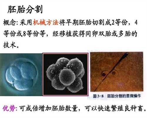 北京中国代孕案例_灭蚊剂可能引致孕妇流产