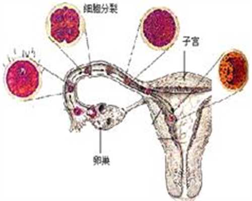北京代孕的机构有哪些_备孕男宝科学的方法