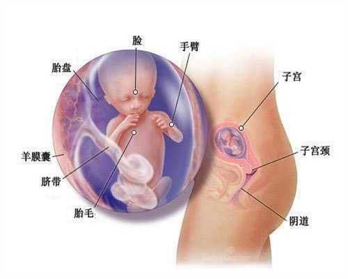 北京专业代怀孕包男孩_月经正常输卵管会不通吗