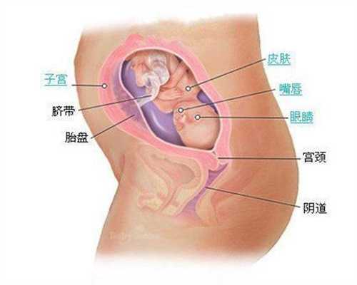北京代孕风险有哪几项_备孕期男性可以喝啤酒吗
