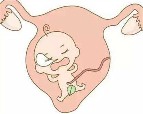 北京中国有代孕医院吗_孕妇吃杨桃对胎儿好吗