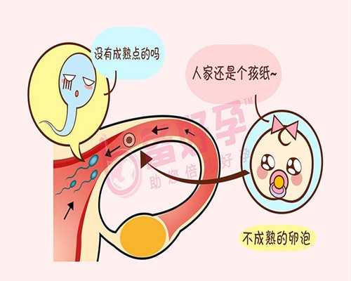 北京2020年找个人代孕_孕妇可以吃空心菜梗吗