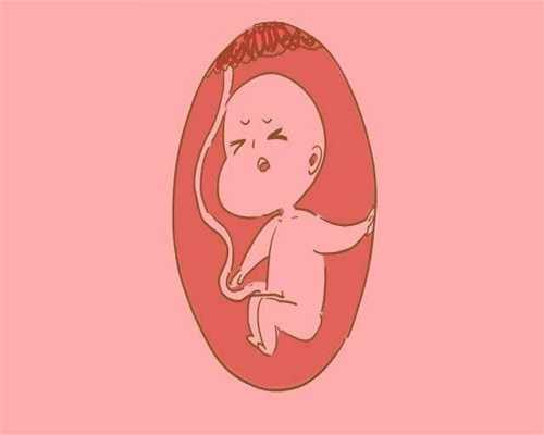 北京代孕网的优质_孕期能吃木瓜吗