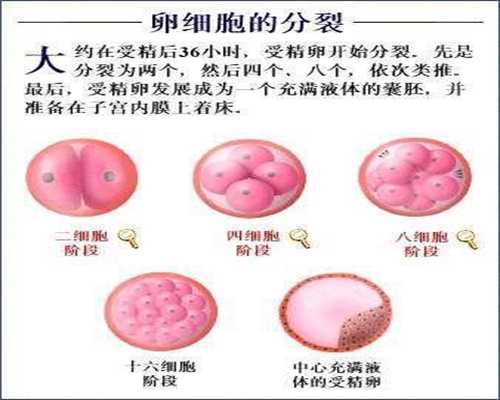 北京代孕价格详细说明_孕期保健必备：10个小妙招对抗孕期水肿