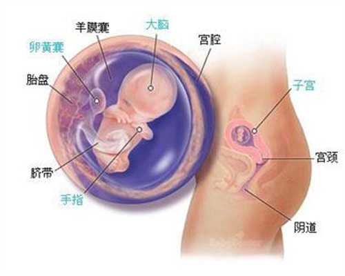 北京代孕医院需要多少钱_战“疫”期间，孕妇如何保证营养健康