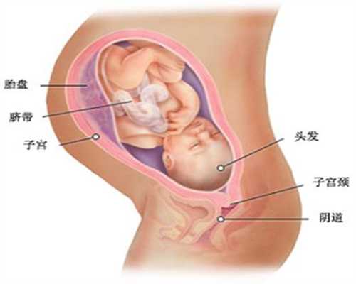 北京代孕医院价格表_母乳喂养的好处有哪些 母乳喂养多久最好