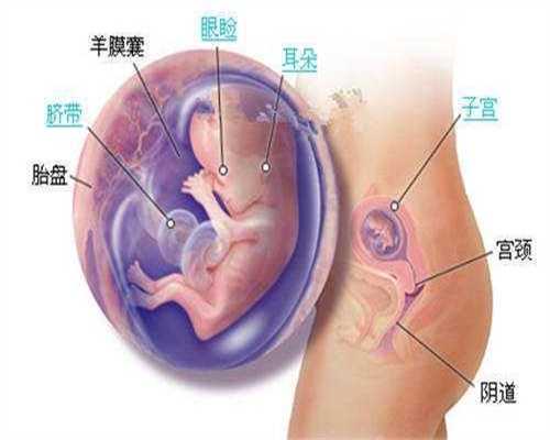 北京代孕孩子服务_准妈妈如何科学胎教
