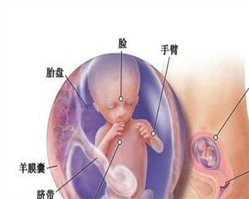 北京代孕中介_新生儿已经过时的养育方法
