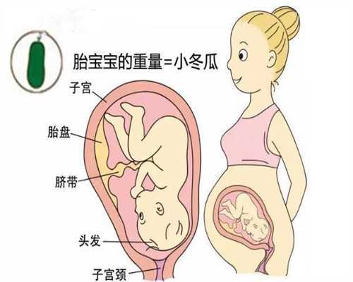 代孕联系方式_反映胎儿宫内窘迫的三大临床表现