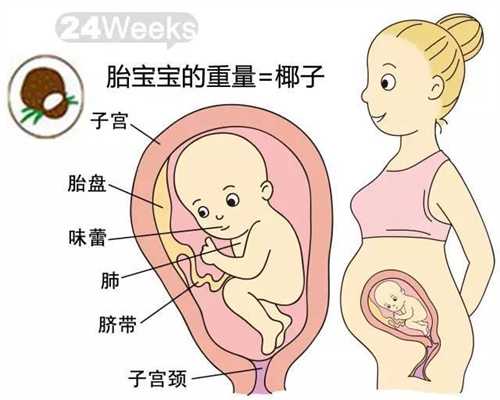 北京代孕联系电话_揭秘混血宝宝“漂亮基因”之谜