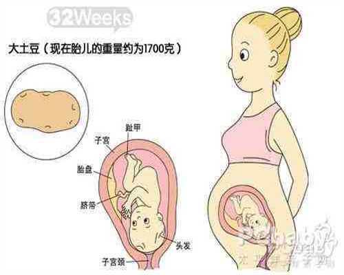 北京最便宜的代孕公司_怎样用奶瓶给宝宝喂奶 宝宝更喜欢喝温奶