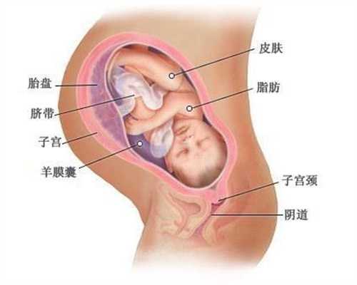 北京代孕医院的故事_奶水不足的新手妈妈不要苦恼,这几点记住就能事半功倍