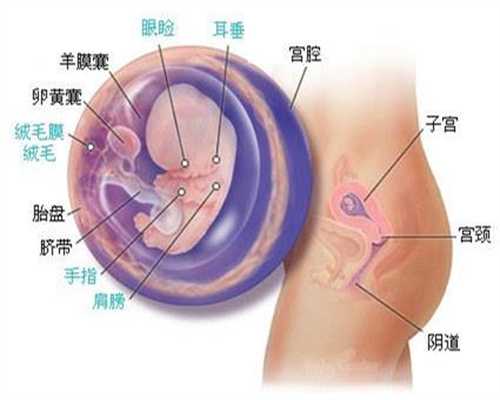 北京代孕无忧包性别_胎动异常可能是胎儿在求救