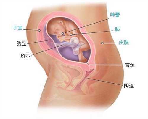 北京代孕多少钱一胎_母乳喂养期间要预防维生素不足