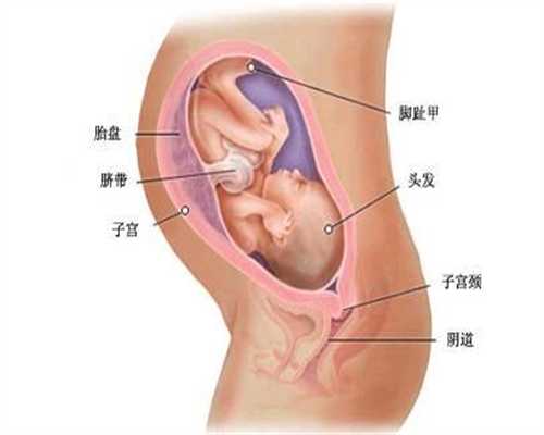 北京合法代孕机构_孕前检查包括什么