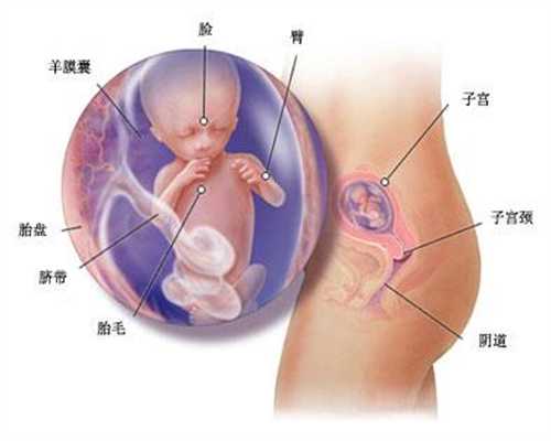 北京代孕包双胞胎多少钱_开荒保洁步骤和标准分别是什么