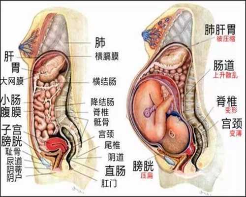 北京代孕一孩子_胎儿羊水过多怎么办 对胎儿有什么影响