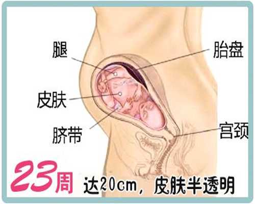 北京2020年代孕价格表_四维超声排畸检查比B超更准