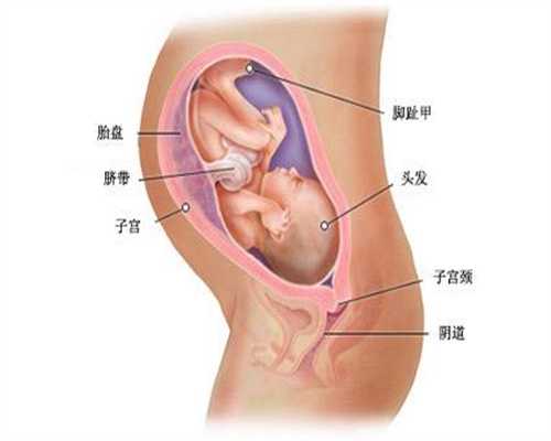 北京代孕的手术多少钱_喂奶喉咙痛发炎怎么办