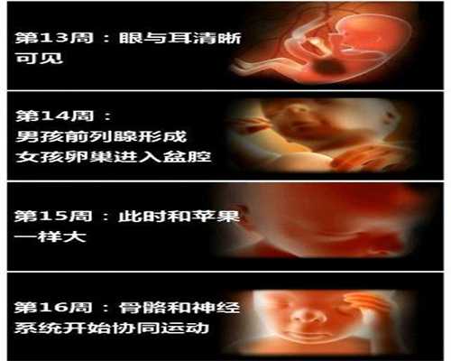 北京完美助孕网_生活中哪些情况不利于养胎