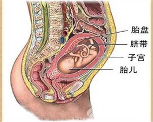 北京代孕选男女价格_一岁八个月宝宝发育指标的健康程度