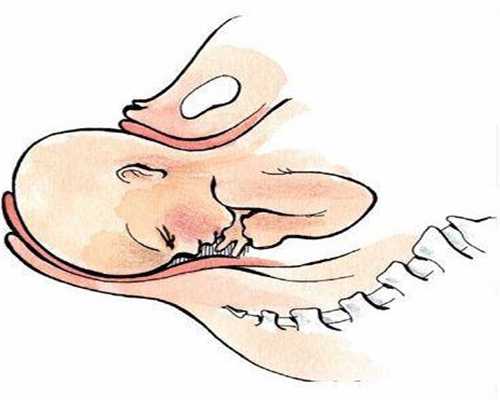 北京代孕流程_排卵试纸早孕试纸测早孕的特点是什么呢