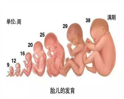 北京代孕的孩子_孩子大便发绿该怎样补救