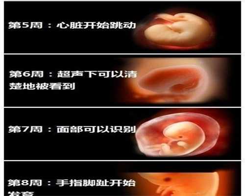 北京代孕最新政策_十个月宝宝咳嗽吃甘草片有效吗