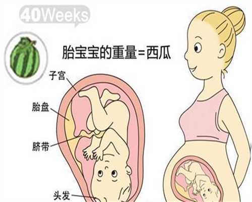 北京助孕机构排名_胎盘的功能，竟然有这么多好处！
