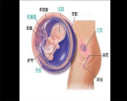 北京高成功率代孕网站_18岁打胎2次会导致不孕吗