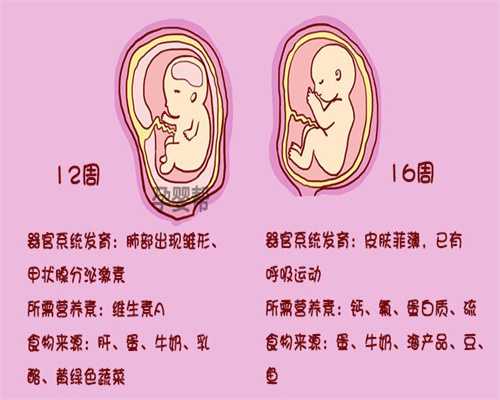 北京代孕网哪家靠谱_卵巢宫外孕怎么治疗
