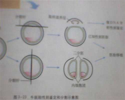 北京哪里有做代孕的人：代怀孕多少钱2020北京_北京代怀孕生殖中心