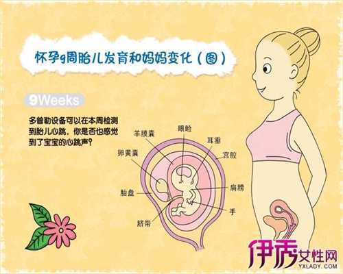 北京我要找代孕妈妈：北京代怀孕一共多少钱_北京代孕代怀孕包性别多少钱