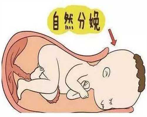 北京代孕北京：北京找代孕去那找_北京助孕地址