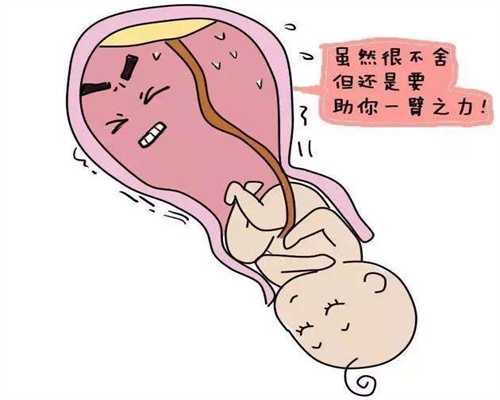在代孕个孩子的价格-北京合法代孕一般多少钱_「最新」北京私人验血查男女的